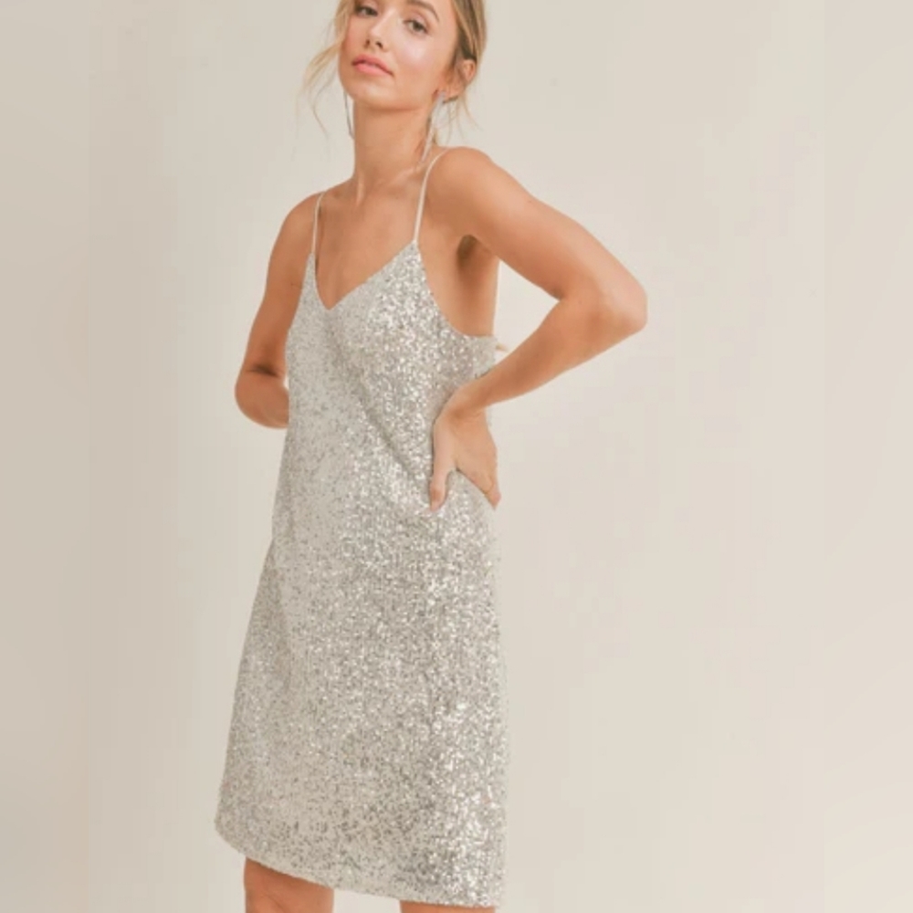 🥂 Sequined Banana Republic cocktail dress (worn once!) — champagne and silver